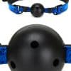 Whipsmart Blue Diamond Ball Gag